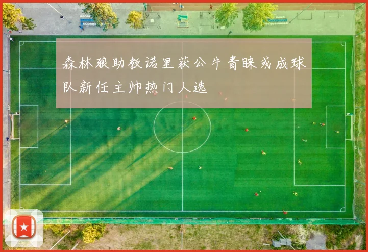 森林狼助教诺里获公牛青睐或成球队新任主帅热门人选