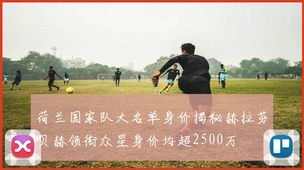 荷兰国家队大名单身价揭秘赫拉芬贝赫领衔众星身价均超2500万